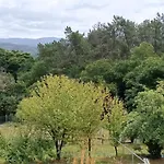 Eido Benito Мондарис