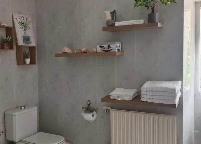 Eido Benito Mondariz