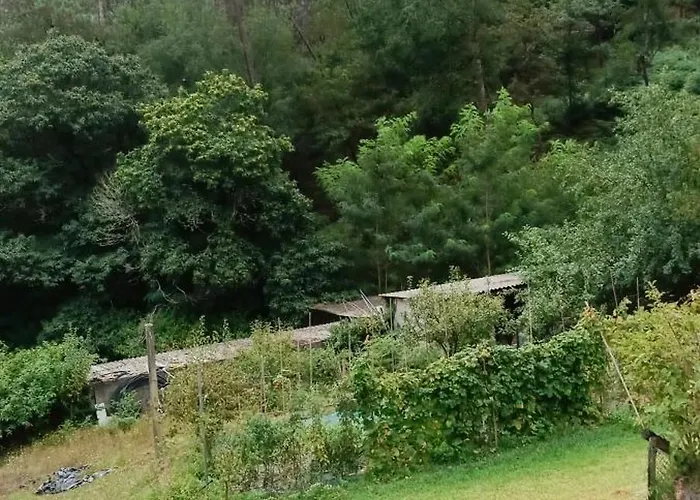 Eido Benito Mondariz