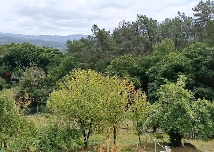 Eido Benito Mondariz